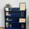 Hornblower - bookshelves